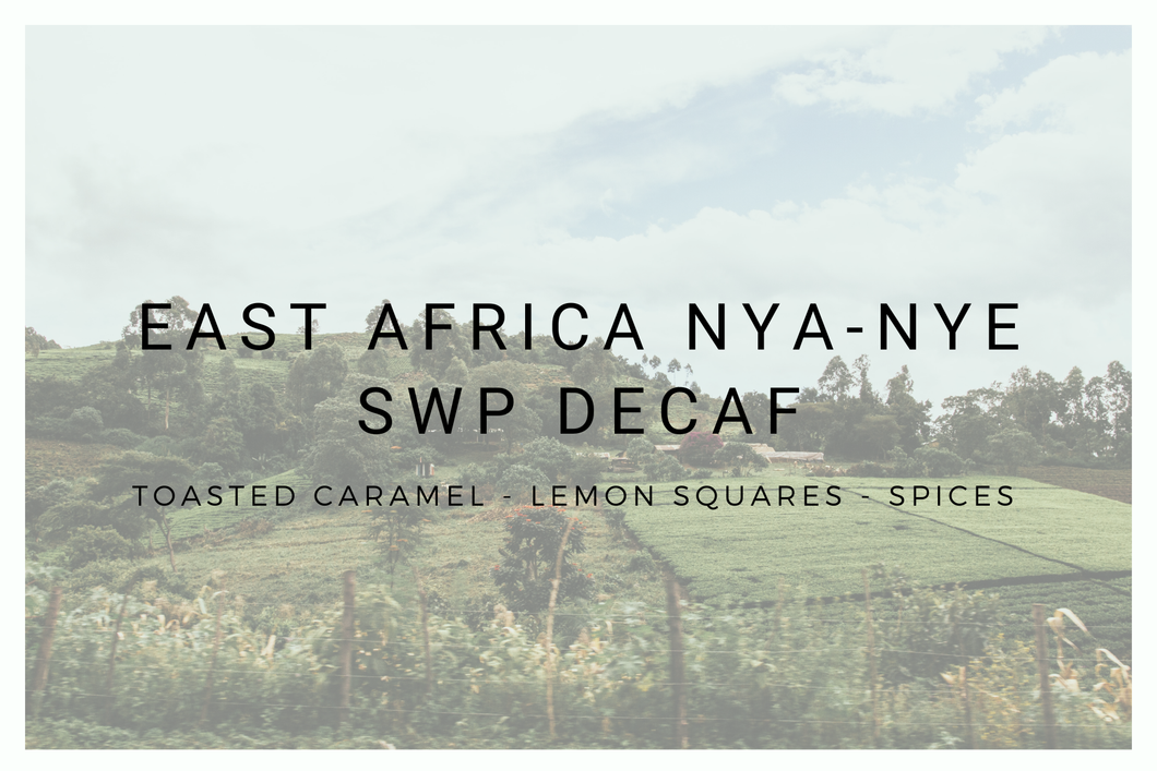 East Africa Nya-Nye SWP Decaf