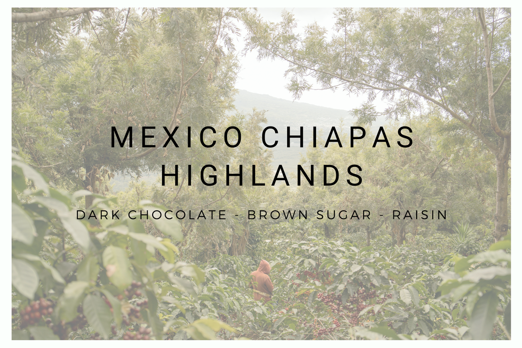 Mexico Chiapas Highlands