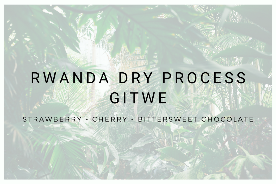 Rwanda Dry Process Gitwe