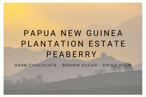 Papua New Guinea Plantation Estate Peaberry