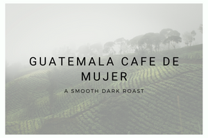 Guatemala Huehuetenango Asobagri Cafe De Mujer SHB EP Organic