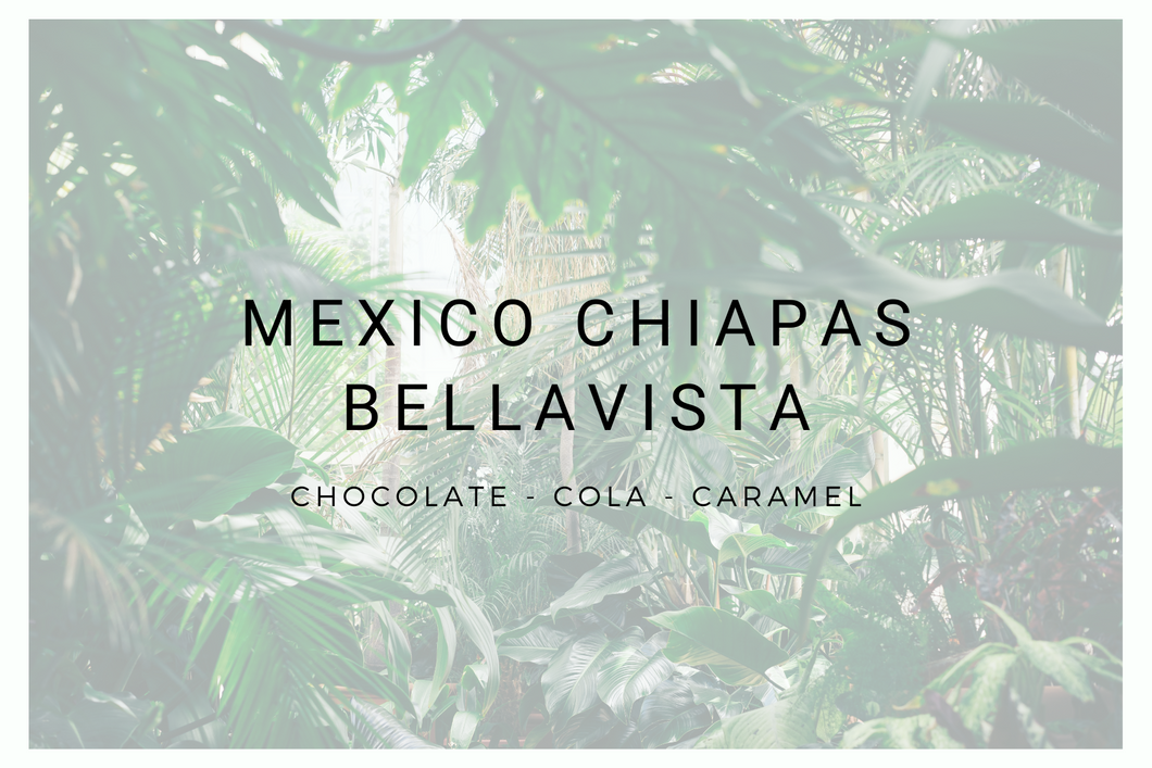 Mexico Chiapas Bellavista SHG/EP