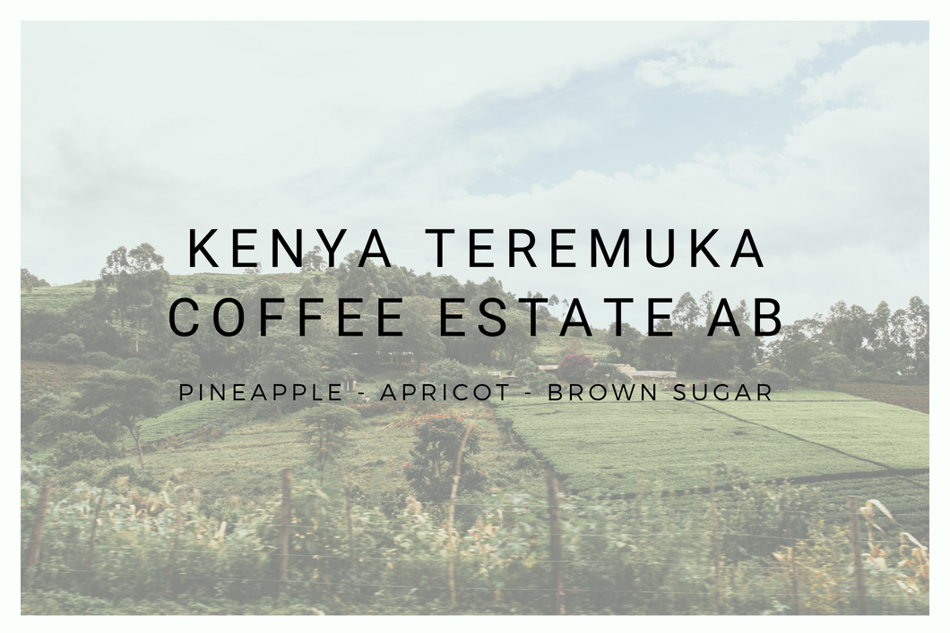 Kenya Teremuka Coffee Estate AB
