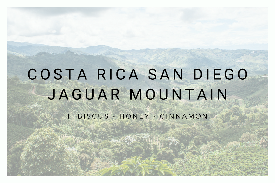 Costa Rica San Diego Jaguar Mountain